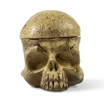 Skull Head Tatuerings Bläckkopp Hållare Ink